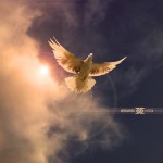 آموزش ساخت صحنه ساده و تنظيم نور و رنگ آن در فتوشاپ-1